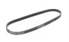 Ремень генератора BMW 3 (E46)/5 (E39)/7 (E38) 95-05 Contitech 5PK865 (фото 5)