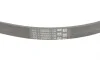 Ремінь генератора Ford Focus 1.6i Contitech 5PK868 ELAST (фото 3)