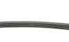 Ремень генератора Renault Kangoo 1.2i 97-/Subaru Impreza 2.0 05-07/Nissan Pathfinder 4.0 05- Contitech 5PK875 (фото 2)