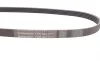 Ремень генератора Ford Fiesta 1.8 DI 95-02/Toyota Rav4 2.0D 4WD 01-05 Contitech 5PK884 (фото 2)
