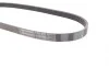 Ремень генератора BMW 3 (E36)/5 (E34/E39) 2.0/2.5i 90-00/Ford Focus 2.5 05-12/Volvo C30/C70 04-13 Contitech 5PK890 (фото 2)