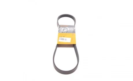 Ремень генератора BMW 3 (E36)/5 (E34/E39) 2.0/2.5i 90-00/Ford Focus 2.5 05-12/Volvo C30/C70 04-13 Contitech 5PK890