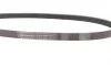 Ремінь генератора BMW 3 (E36)/5 (E34/E39) 95-03 Contitech 5PK906 (фото 2)