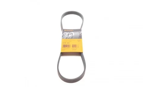 Дорожный ремень Contitech 5PK925