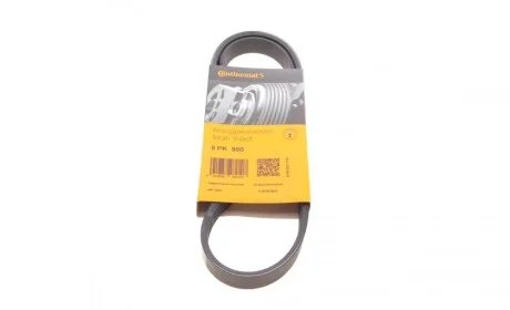 Ремень поликлиновый Contitech 5PK950