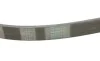 Ремінь генератора Audi A6/A7/A8 S6/S7/S8/4.0TFSI quattro 12-18/Opel Astra F 1.4/1.6i/si 91-98 Contitech 5PK985 (фото 3)