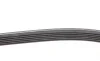 Комплект ремня генератора Audi A3/Seat Leon/Skoda Octavia/VW Caddy 1.4-2.0LPG 95-15, (6DPK 1195) Contitech 6DPK1195K1 (фото 2)