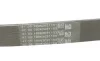 Ремінь генератора MB OM601/602 (-PS) Contitech 6PK1000 (фото 3)