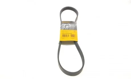 Ремінь генератора Ford Fiesta/Focus Contitech 6PK1019 ELAST