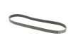 Ремень генератора Ford Fiesta/Focus Contitech 6PK1019 ELAST (фото 5)
