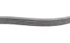Ремінь генератора Ford Fiesta/Focus 1.4/1.6i 16V 01-12 (6PK1019 ELAST+5PK690 ELAST) Contitech 6PK1019 ELAST T1 (фото 11)