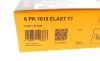 Ремінь генератора Ford Fiesta/Focus 1.4/1.6i 16V 01-12 (6PK1019 ELAST+5PK690 ELAST) Contitech 6PK1019 ELAST T1 (фото 13)