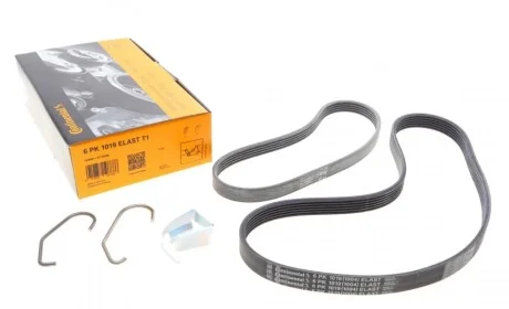 Ремінь генератора Ford Fiesta/Focus 1.4/1.6i 16V 01-12 (6PK1019 ELAST+5PK690 ELAST) Contitech 6PK1019 ELAST T1