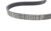 Ремінь генератора Ford Fiesta/Focus 1.4/1.6i 16V 01-12 (6PK1019 ELAST+5PK690 ELAST) Contitech 6PK1019 ELAST T1 (фото 5)