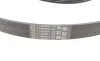 Ремінь генератора Ford Fiesta/Focus 1.4/1.6i 16V 01-12 (6PK1019 ELAST+5PK690 ELAST) Contitech 6PK1019 ELAST T1 (фото 6)