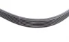 Ремінь генератора Ford Fiesta/Focus 1.4/1.6i 16V 01-12 (6PK1019 ELAST+5PK690 ELAST) Contitech 6PK1019 ELAST T1 (фото 7)