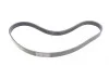 Ремінь генератора Ford Fiesta/Focus 1.4/1.6i 16V 01-12 (6PK1019 ELAST+5PK690 ELAST) Contitech 6PK1019 ELAST T1 (фото 8)