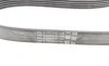 Ремінь генератора Ford Fiesta/Focus 1.4/1.6i 16V 01-12 (6PK1019 ELAST+5PK690 ELAST) Contitech 6PK1019 ELAST T1 (фото 10)