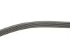 Ремень генератора Audi A3/A4/A5/A6/Seat Leon/VW Caddy/Passat/Tiguan 2.0 TDI 12- Contitech 6PK1026 (фото 2)
