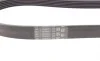 Ремінь генератора Ford Fiesta VI/Mondeo IV 08- Contitech 6PK1029 ELAST (фото 3)