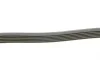 Ремень генератора VW Golf/Passat 1.6-2.0 96-/Nissan Primera/Almera 2.0 90-01/Citroen C2 1.4 05-09 Contitech 6PK1033 (фото 2)