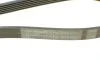 Ремень генератора VW Golf/Passat 1.6-2.0 96-/Nissan Primera/Almera 2.0 90-01/Citroen C2 1.4 05-09 Contitech 6PK1033 (фото 4)