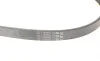 Ремень генератора Ford Fiesta VI 1.25-1.6Ti 08- Contitech 6PK1033 ELAST (фото 3)