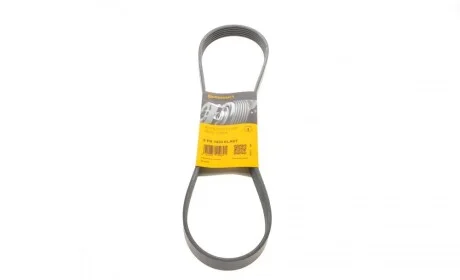 Ремень генератора Ford Fiesta VI 1.25-1.6Ti 08- Contitech 6PK1033 ELAST