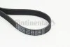 Ремінь генератора VW Golf VIII 1.0 eTSI 20- (6PK1034) Contitech 6PK1034EXTRA (фото 1)
