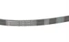 Ремень генератора Toyota Camry 3.0 01-06/Peugeot 208/5008 1.2 13-/Lexus 300 3.0 00-08 Contitech 6PK1038 (фото 3)