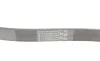 Ремень генератора Ford Focus/Fiesta/Fusion 1.25-1.6 99-12/Mazda 2 1.25-1.6 03-07 Contitech 6PK1042 ELAST (фото 3)