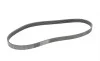 Ремень генератора Ford Focus/Fiesta/Fusion 1.25-1.6 99-12/Mazda 2 1.25-1.6 03-07 Contitech 6PK1042 ELAST (фото 5)