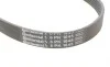 Ремень генератора VW Golf III/Passat/T4 1.9D/TD 90-04/Opel Corsa F 1.2 19-/Fiat Scudo 1.9D 98-06 Contitech 6PK1045 (фото 4)