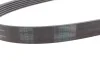 Ремень генератора Audi/Skoda Octavia/VW Golf/Passat B6 2.0TFSI/RS/GTi/FSI 04-13/Fiat Doblo 1.9D 01- Contitech 6PK1054 (фото 2)