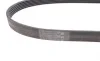 Ремень генератора Ford Focus 1.6 04-/Volvo C30/S40/V50 05-12 Contitech 6PK1059 ELAST (фото 2)