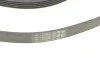 Ремень генератора Ford Focus 1.4/1.6i 03-/Volvo C30/S40/V50 1.6 05-12 (6PK1059 ELAST+5PK868 ELAST) Contitech 6PK1059 ELAST T2 (фото 4)