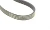 Ремень генератора Ford Focus 1.4/1.6i 03-/Volvo C30/S40/V50 1.6 05-12 (6PK1059 ELAST+5PK868 ELAST) Contitech 6PK1059 ELAST T2 (фото 7)