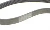Ремень генератора Ford Focus 1.4/1.6i 03-/Volvo C30/S40/V50 1.6 05-12 (6PK1059 ELAST+5PK868 ELAST) Contitech 6PK1059 ELAST T2 (фото 8)