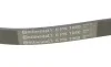 Ремень генератора Mitsubishi Galant VI 2.5 96-04/Nissan Murano 3.5 4x4 03-14 Contitech 6PK1060 (фото 4)