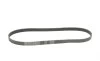 Ремень генератора Mitsubishi Galant VI 2.5 96-04/Nissan Murano 3.5 4x4 03-14 Contitech 6PK1060 (фото 5)