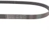 Ремень генератора VW Crafter 2.0TDI 11-16/Golf 1.4/1.6 97-05/Audi A1/A2/A4 1.4-2.0 01-18 Contitech 6PK1080 (фото 2)