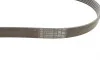 Ремень генератора Citroen DS5/Peugeot 3008/508 I 2.0DH 10-18 Contitech 6PK1080EXTRA (фото 2)