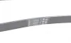 Ремень генератора VW Golf V/VI/Passat VI/VII/Tiguan/Touran 1.4TSI/FSI/1.6 FSI 03-18 Contitech 6PK1084 (фото 3)