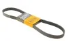 Ремінь генератора Citroen C3/C4/Peugeot 307 1.4-1.6HDi 02- Contitech 6PK1090ELAST (фото 1)