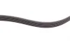 Ремень генератора Skoda Octavia/VW Golf 1.6-2.0/1.9TDI 97-13/Passat B6/B7 1.8-2.0TSI/T5 1.9TDI 03-15 Contitech 6PK1120 (фото 4)