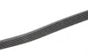 Ремінь генератора MB Sprinter (W906/W907/W910) 2.2 CDI (OM651) 06- (6PK1124) Contitech 6PK1124ELAST (фото 3)