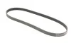 Ремень генератора Citroen Jumper 1.9TD 94-02 (ALT,PS) Contitech 6PK1130 (фото 5)