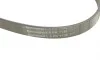 Ремень генератора VW Caddy/T5 1.9TDI/2.0SDI 04-10/Renault Laguna/Megane/Trafic 1.9dTi/dCi 96-01 Contitech 6PK1138 (фото 4)
