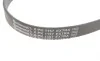 Ремінь генератора BMW 3 (G20/G80/G28)/5 (G30/F90)/X5 (G05/F95) 2.0D B47 16- Contitech 6PK1157EXTRA (фото 2)
