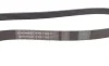 Ремень генератора Citroen Jumper/Peugeot Boxer 3.0HDI Contitech 6PK1165 (фото 2)